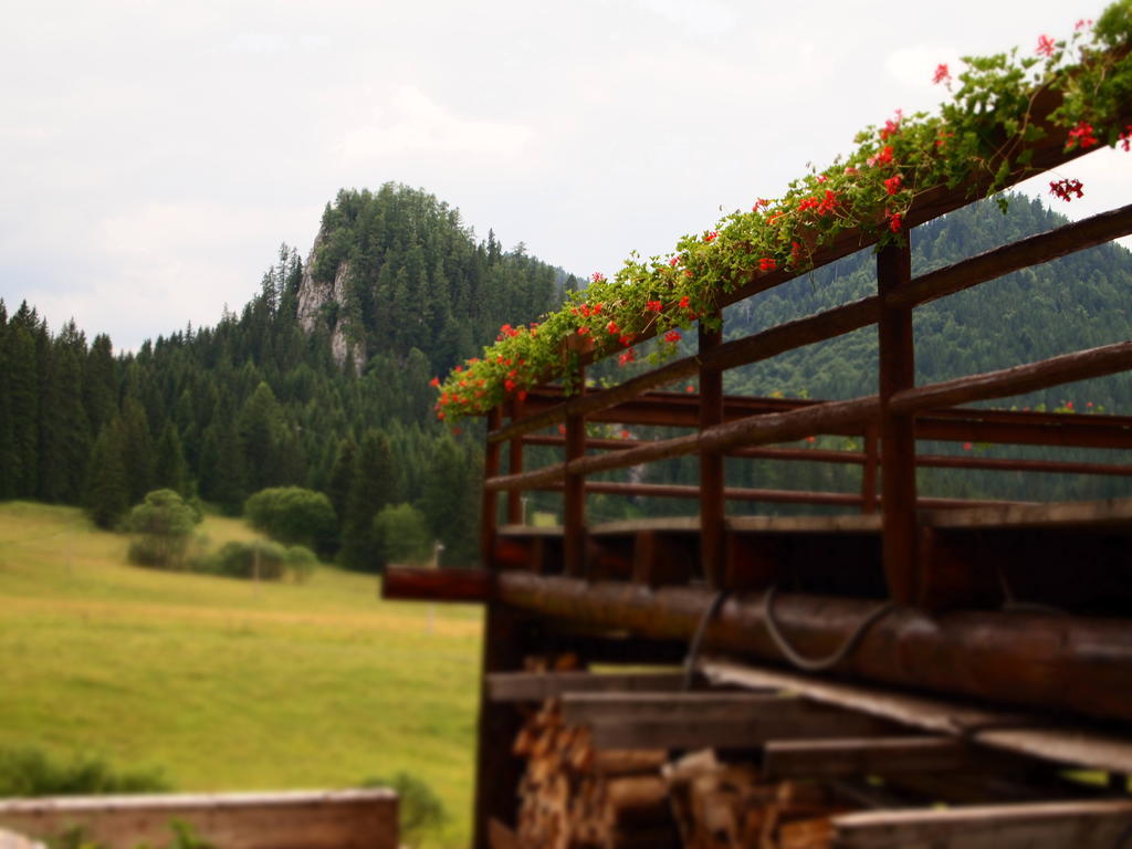 Penzión Ľadová Stratená Exterior foto